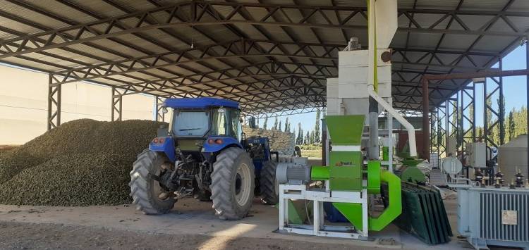Con 300 hectáreas de alfalfa, avanza un mega emprendimiento productivo en 25 de Mayo