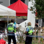 Tragedia en Francia: se estrelló una avioneta con paracaidistas y causó 11 víctimas fatales