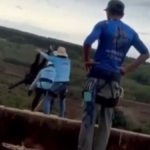 El mensaje premonitorio de la mujer que murió en Brasil: "¿Quién fue el loco que me dejó saltar de un puente?"